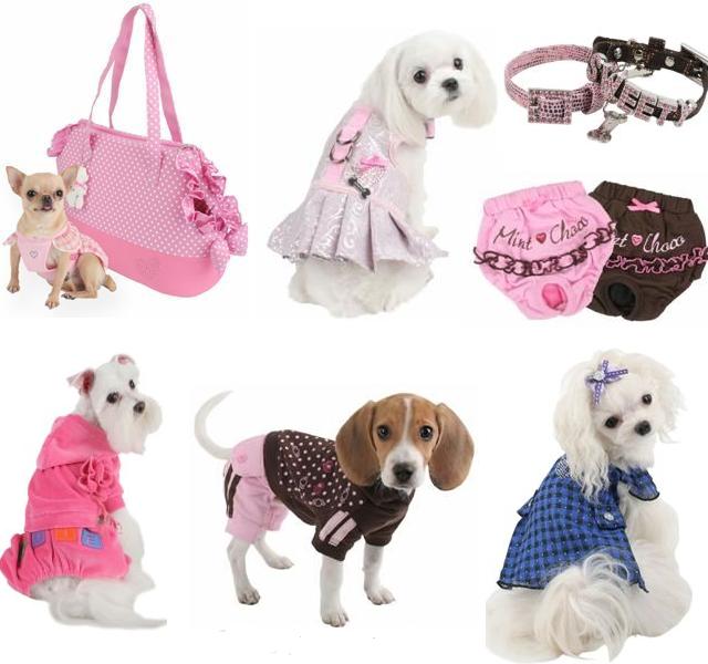 PET ME - to nej pro Vaše pejsky a kočičky (www.luxurymag.cz)