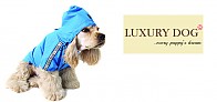 Luxusní oblečky pro psy / Luxury Dog