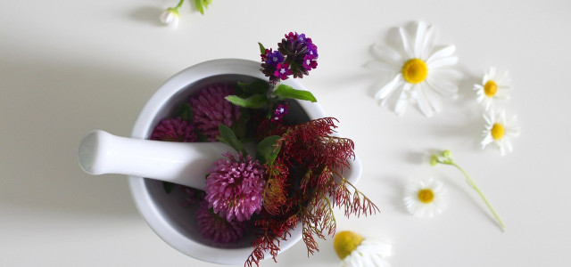 Krása z přírody: Jak si mladé slečny mohou vyrobit domácí kosmetiku ze sedmikrásek a okurek